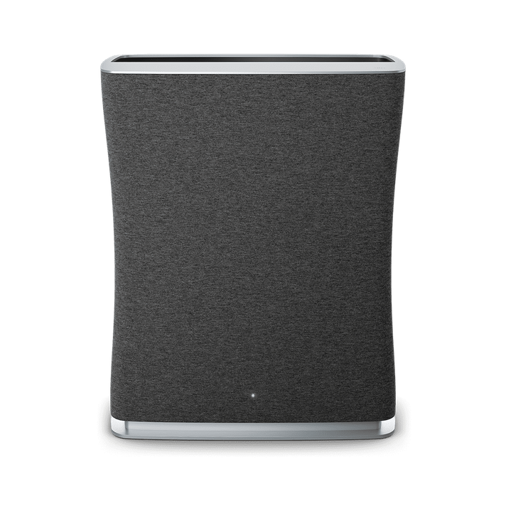 Очиститель Roger