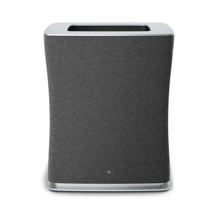 Очиститель Roger big