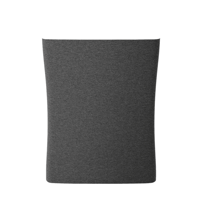 Фильтр для Roger little