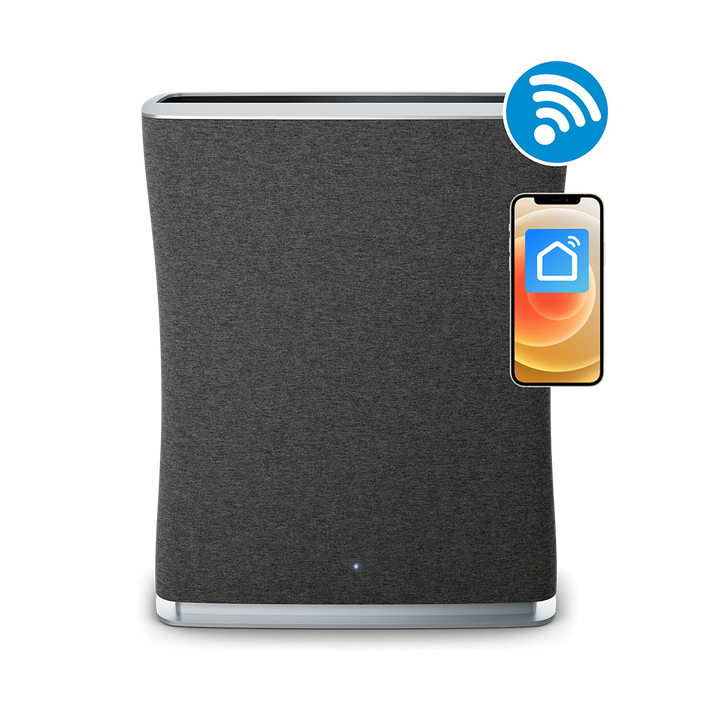 Очиститель воздуха Roger