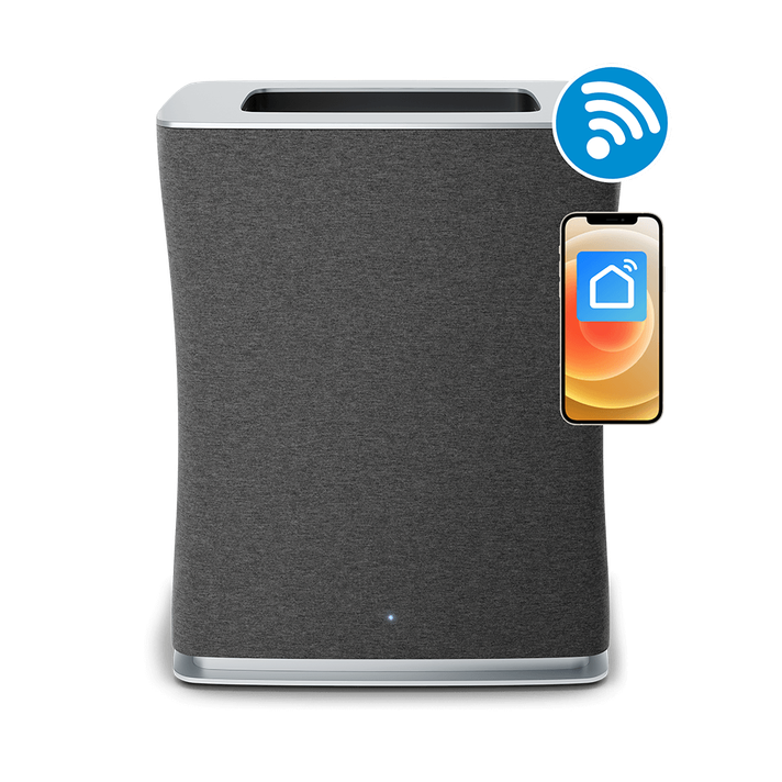 Очиститель воздуха Roger big