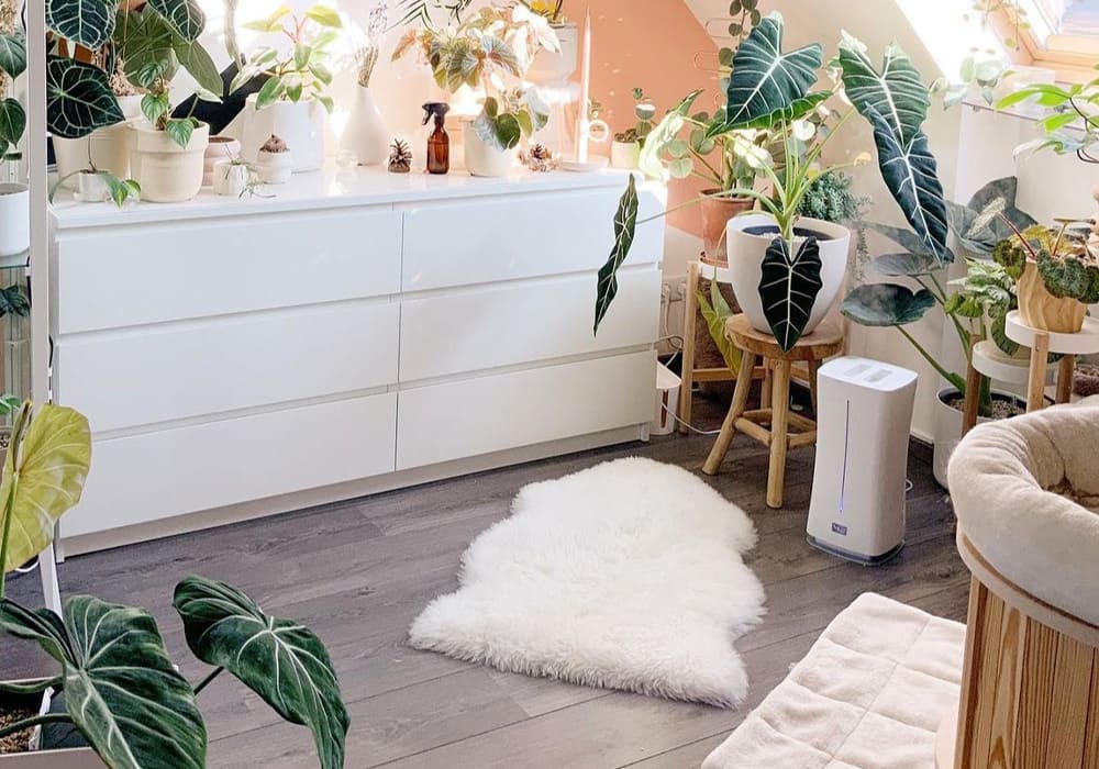 Ультразвуковой увлажнитель Eva